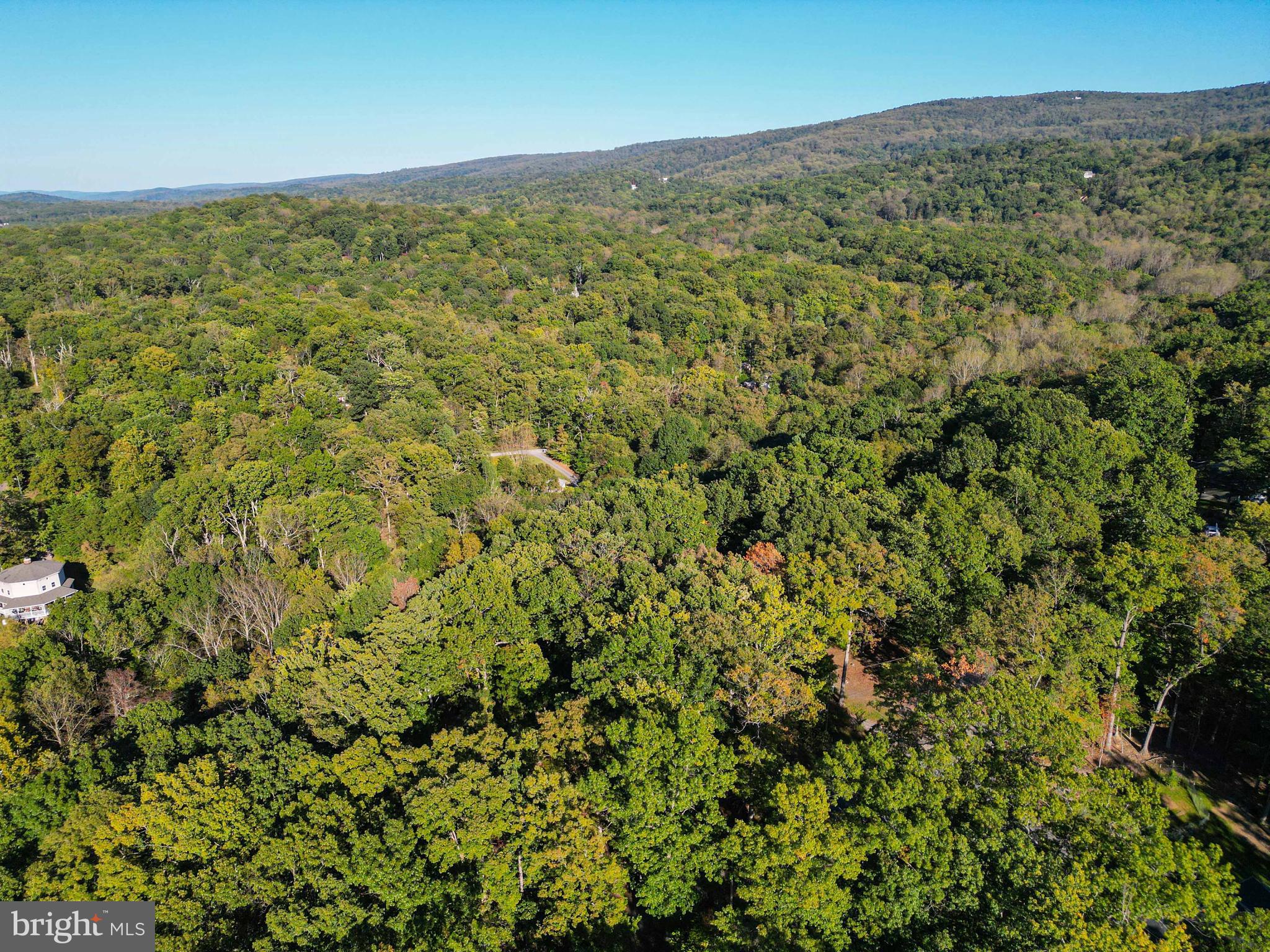 458 Hobbs Knob Road Front Royal, VA 22630 - Photo 9 of 94 a view of a field with a lush green forest
