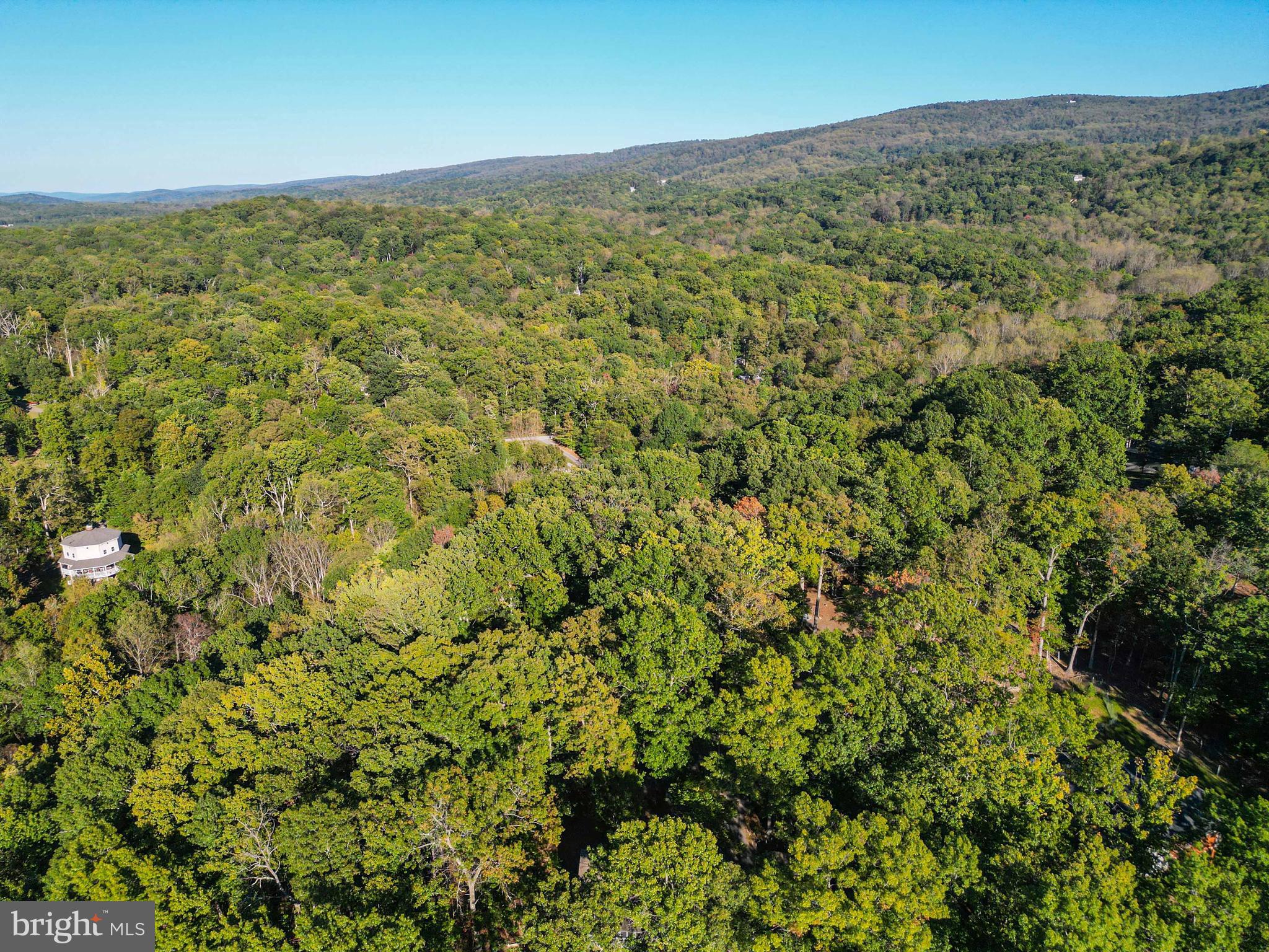 458 Hobbs Knob Road Front Royal, VA 22630 - Photo 10 of 94