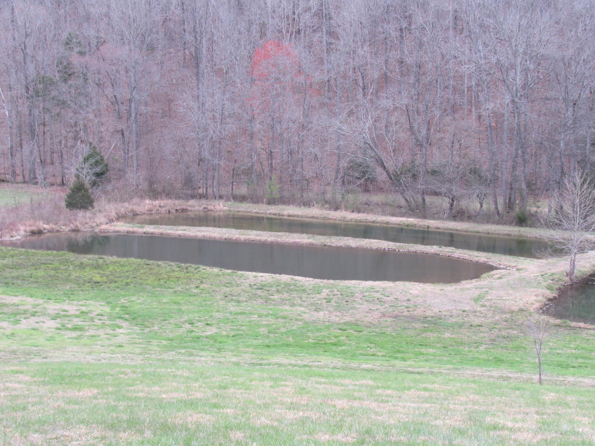 2155 McKenzie Road Parsons, TN 38363 - Photo 22 of 30 Gallery Image 22