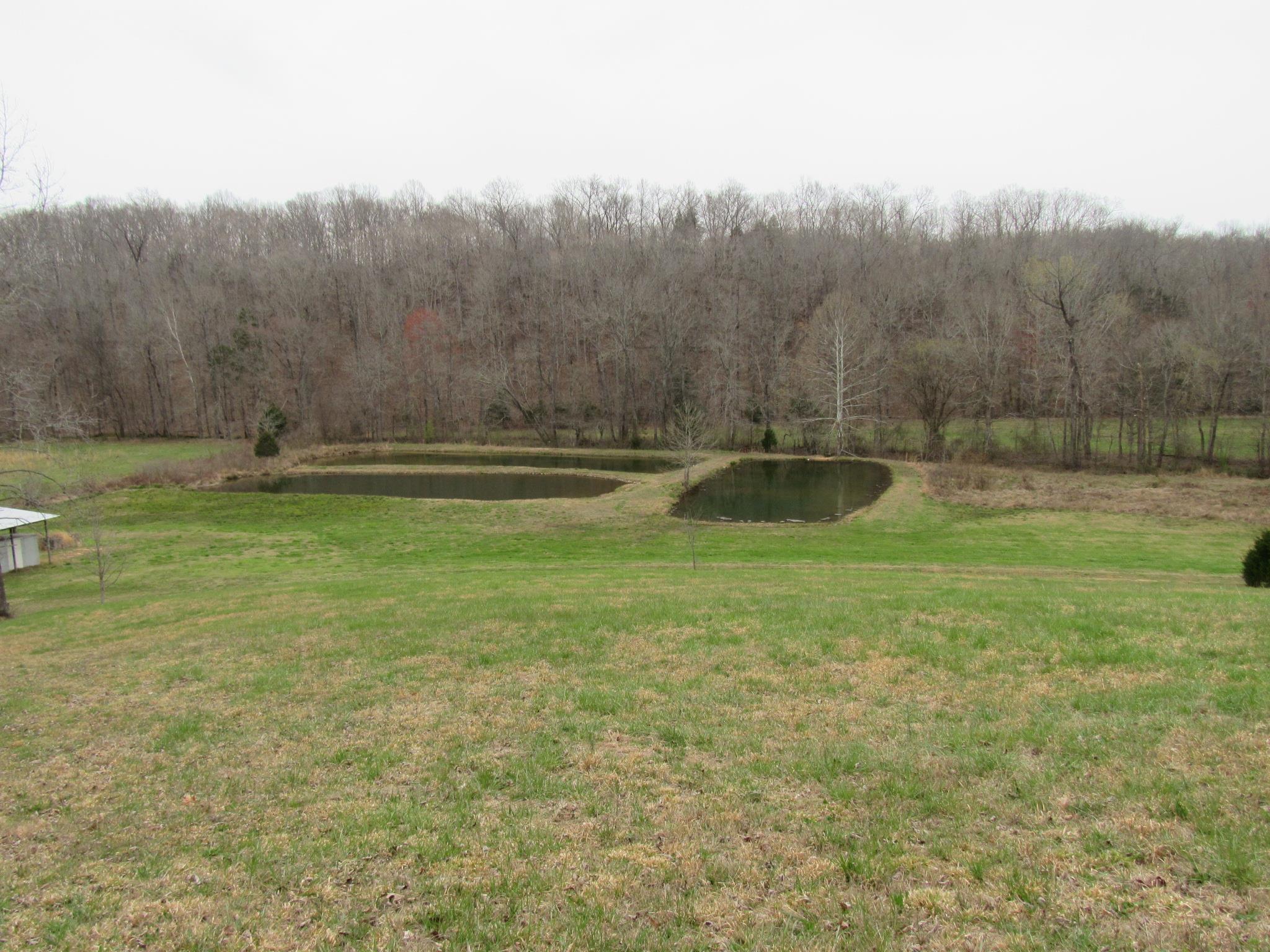2155 McKenzie Road Parsons, TN 38363 - Photo 23 of 30 Gallery Image 23