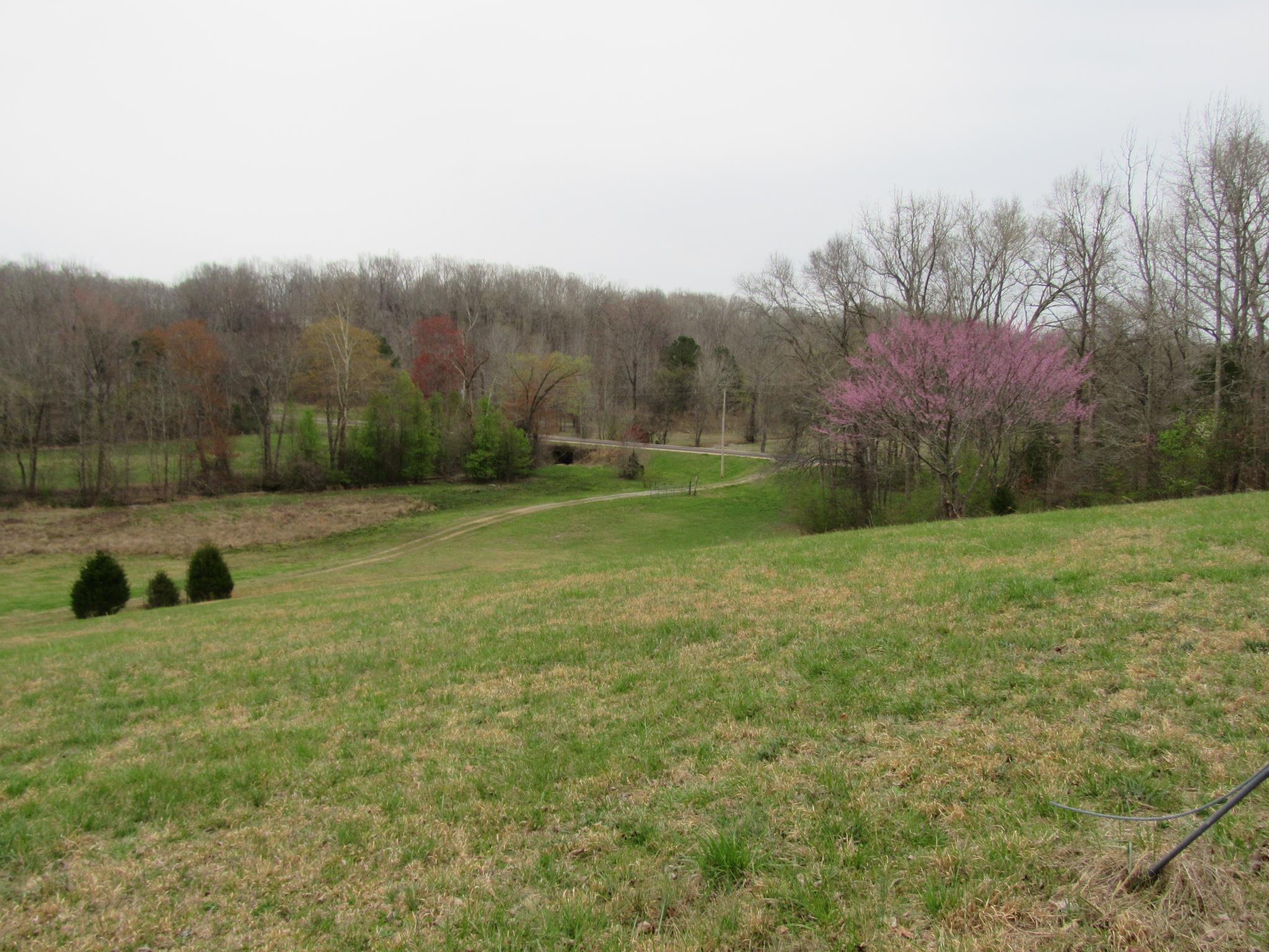 2155 McKenzie Road Parsons, TN 38363 - Photo 24 of 30 Gallery Image 24