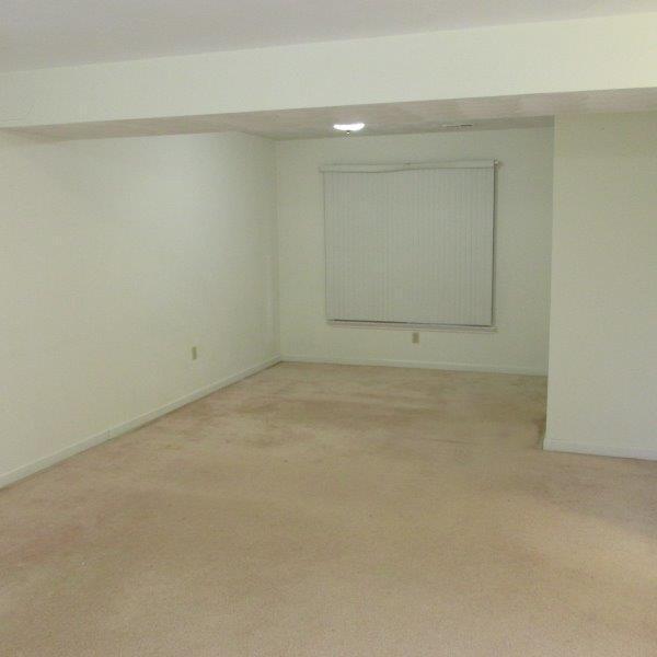 8220 Barrens Road Roanoke, VA 24019 - Photo 18 of 26 Lower Den