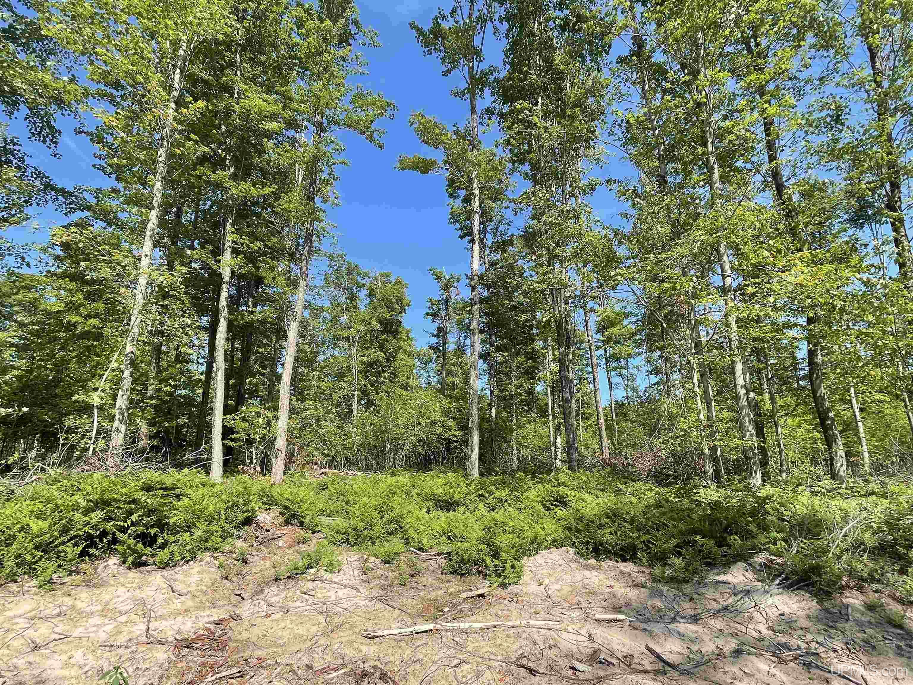 23 Camp 23 Road, Unit SOUTH PARCEL Germfask, MI 49836 - Photo 1 of 9