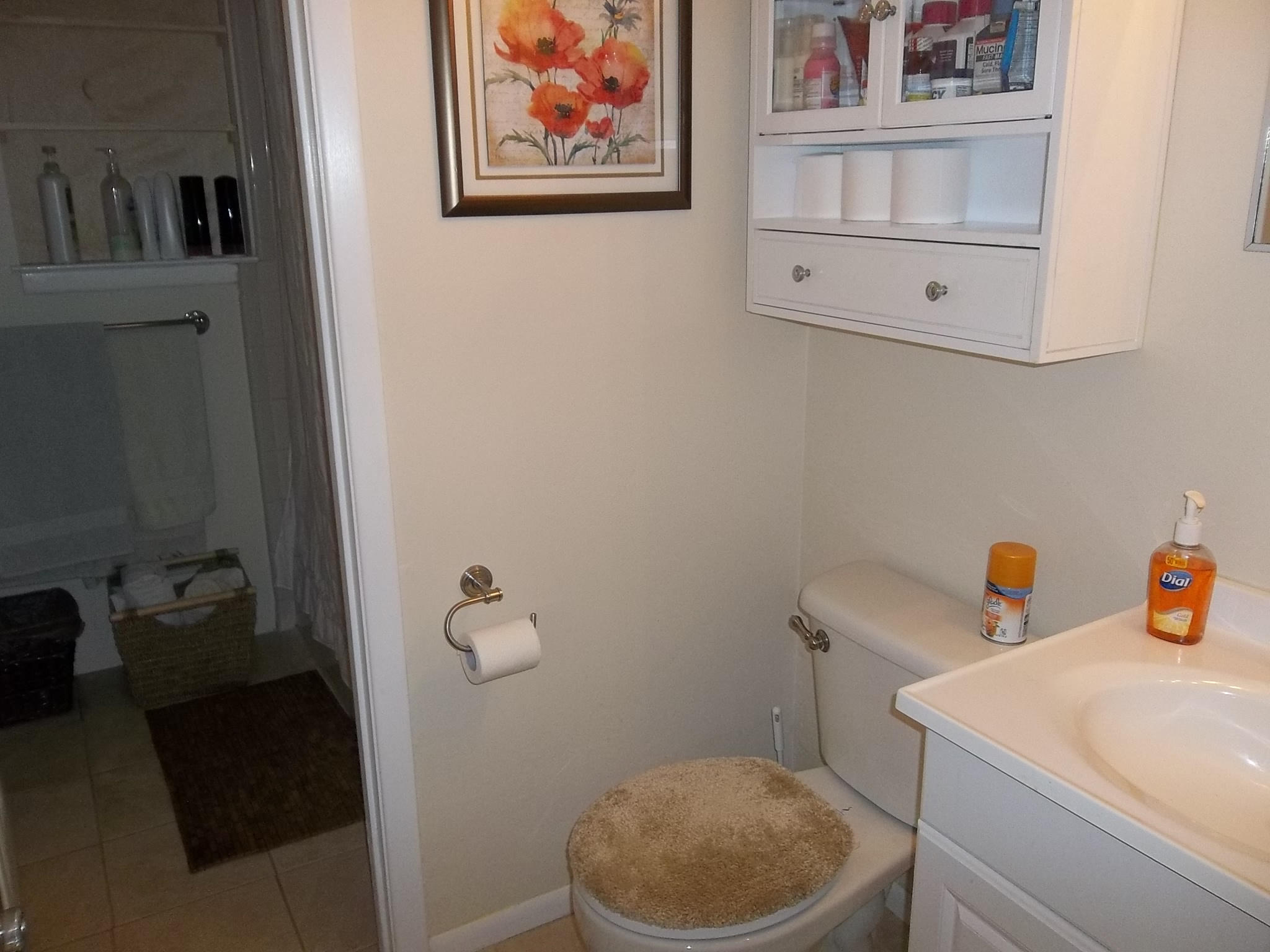 112 Boyce Road Shalimar, FL 32579 - Photo 22 of 36 BATH 1 Guest Bath Side