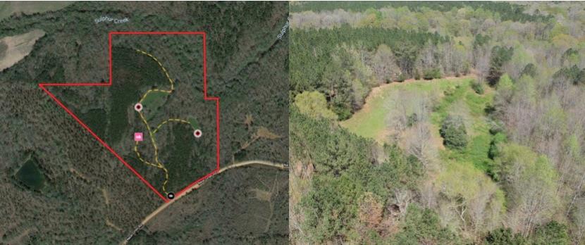 Tract G Neal Grier Road Pine Mountain, GA 31822 - Photo 1 of 26 Main View