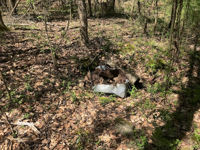 Tract G Neal Grier Road Pine Mountain, GA 31822 - Photo 13 of 26 Gallery Image 13