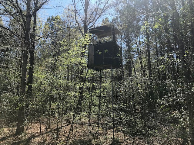 Tract G Neal Grier Road Pine Mountain, GA 31822 - Photo 17 of 26 Gallery Image 17