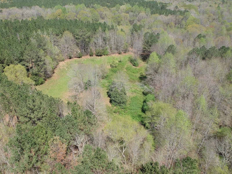 Tract G Neal Grier Road Pine Mountain, GA 31822 - Photo 2 of 26 Gallery Image 2