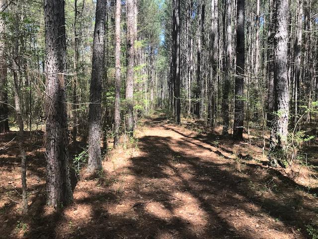 Tract G Neal Grier Road Pine Mountain, GA 31822 - Photo 23 of 26 Gallery Image 23