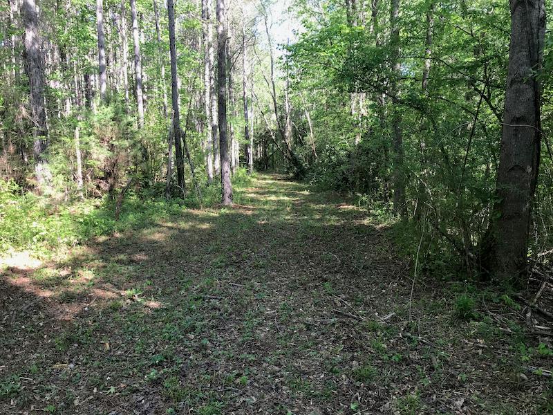 Tract G Neal Grier Road Pine Mountain, GA 31822 - Photo 25 of 26 Gallery Image 25