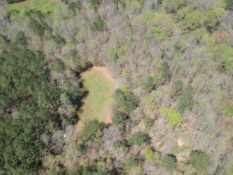 Tract G Neal Grier Road Pine Mountain, GA 31822 - Photo 3 of 26 Gallery Image 3