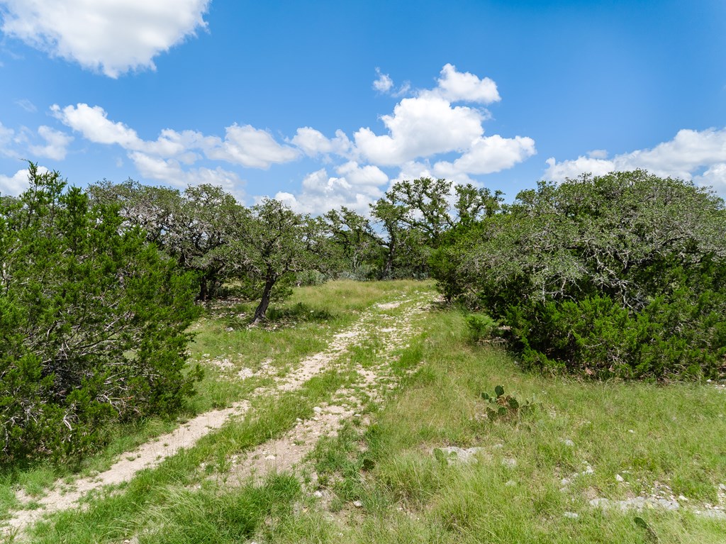 1632 Link, Unit 6 Doss, TX 78618 - Photo 14 of 38 a view of a green yard
