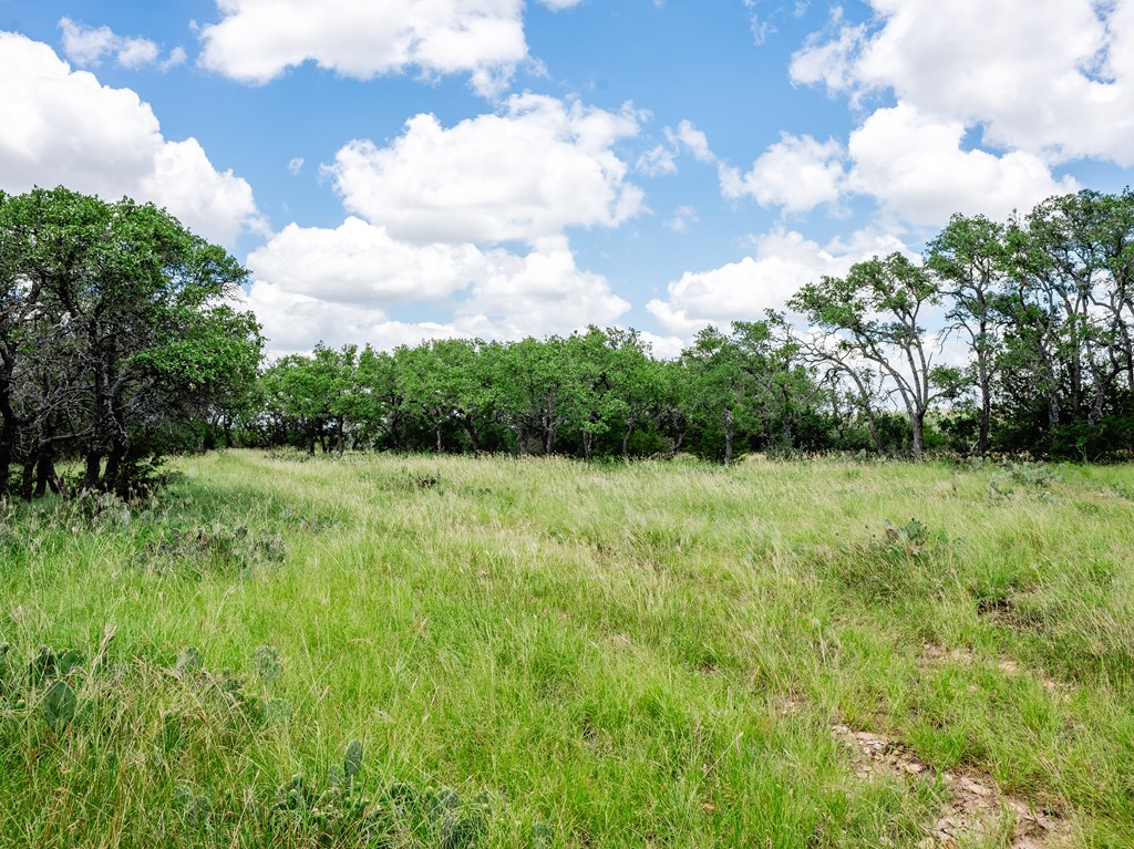 1632 Link, Unit 6 Doss, TX 78618 - Photo 17 of 38 a view of a garden