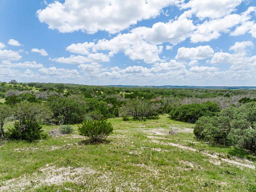 1632 Link, Unit 6 Doss, TX 78618 - Photo 22 of 38 a view of a garden with a building in the background