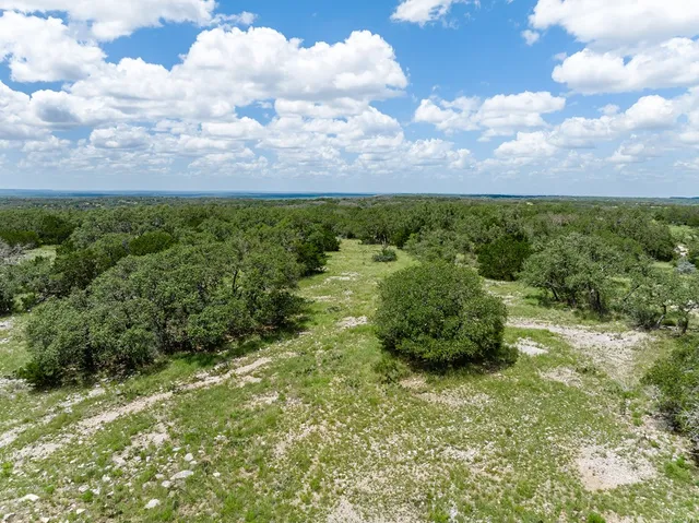 a view of a lush green space