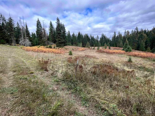 $145,000 | Tbd Lot 3 Tbd Road, Kamiah, ID 83536