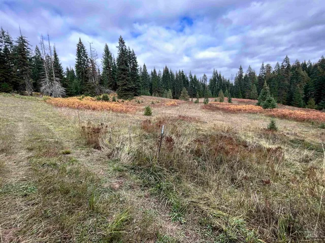 $145,000 | Tbd Lot 3 Tbd Road, Kamiah, ID 83536