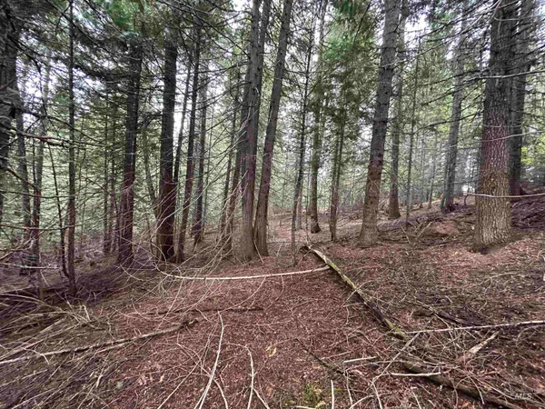 $145,000 | Tbd Lot 3 Tbd Road, Kamiah, ID 83536