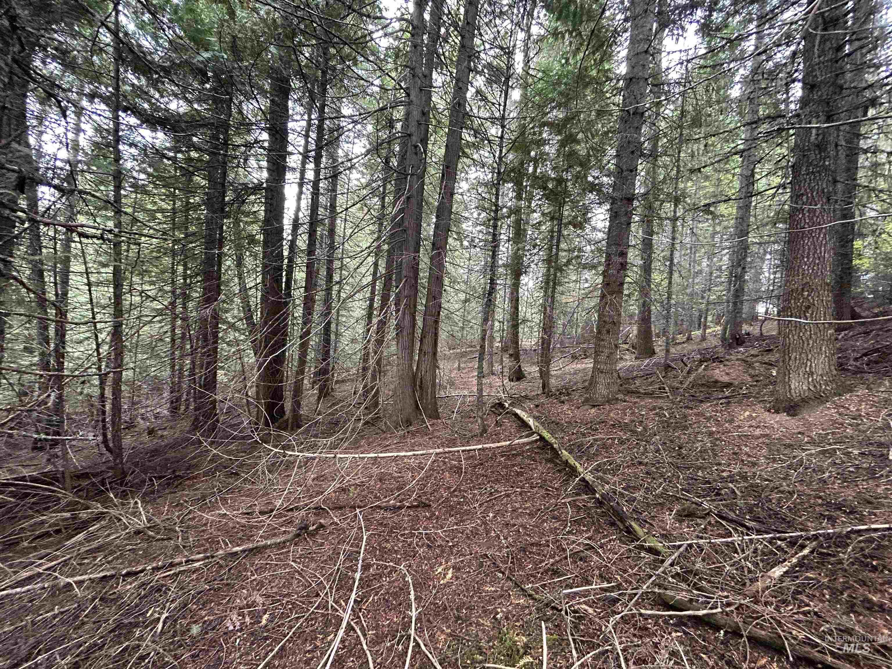 Tbd Lot 3 Tbd Road Kamiah, ID 83536 - Photo 11 of 19