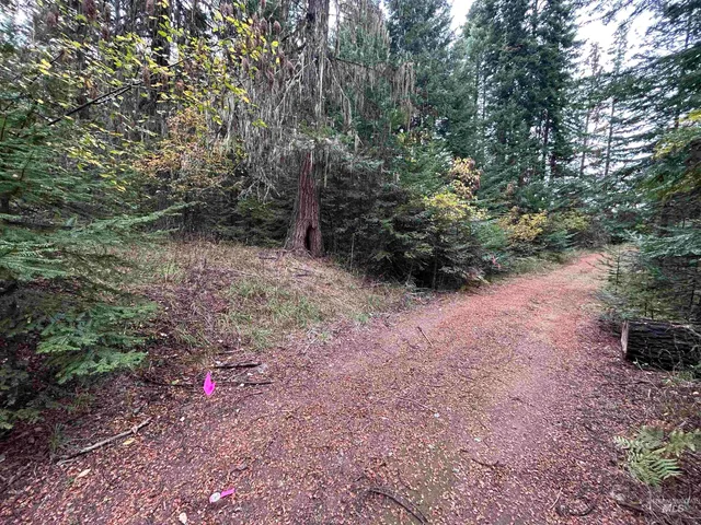 $145,000 | Tbd Lot 3 Tbd Road, Kamiah, ID 83536