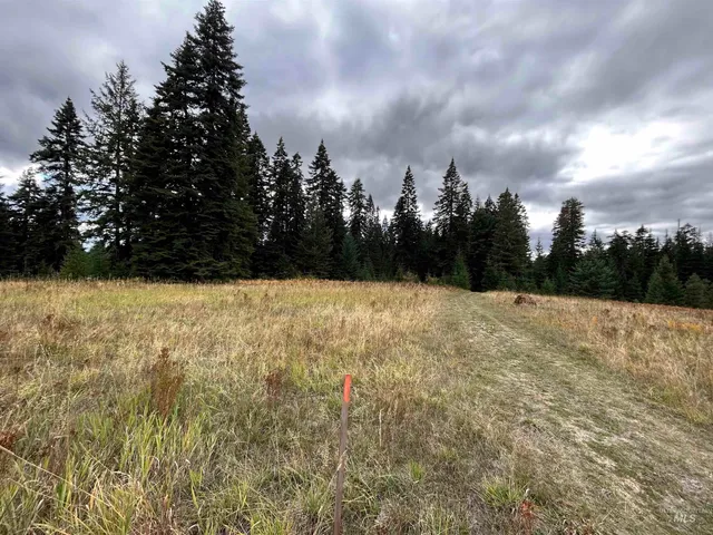 $145,000 | Tbd Lot 3 Tbd Road, Kamiah, ID 83536