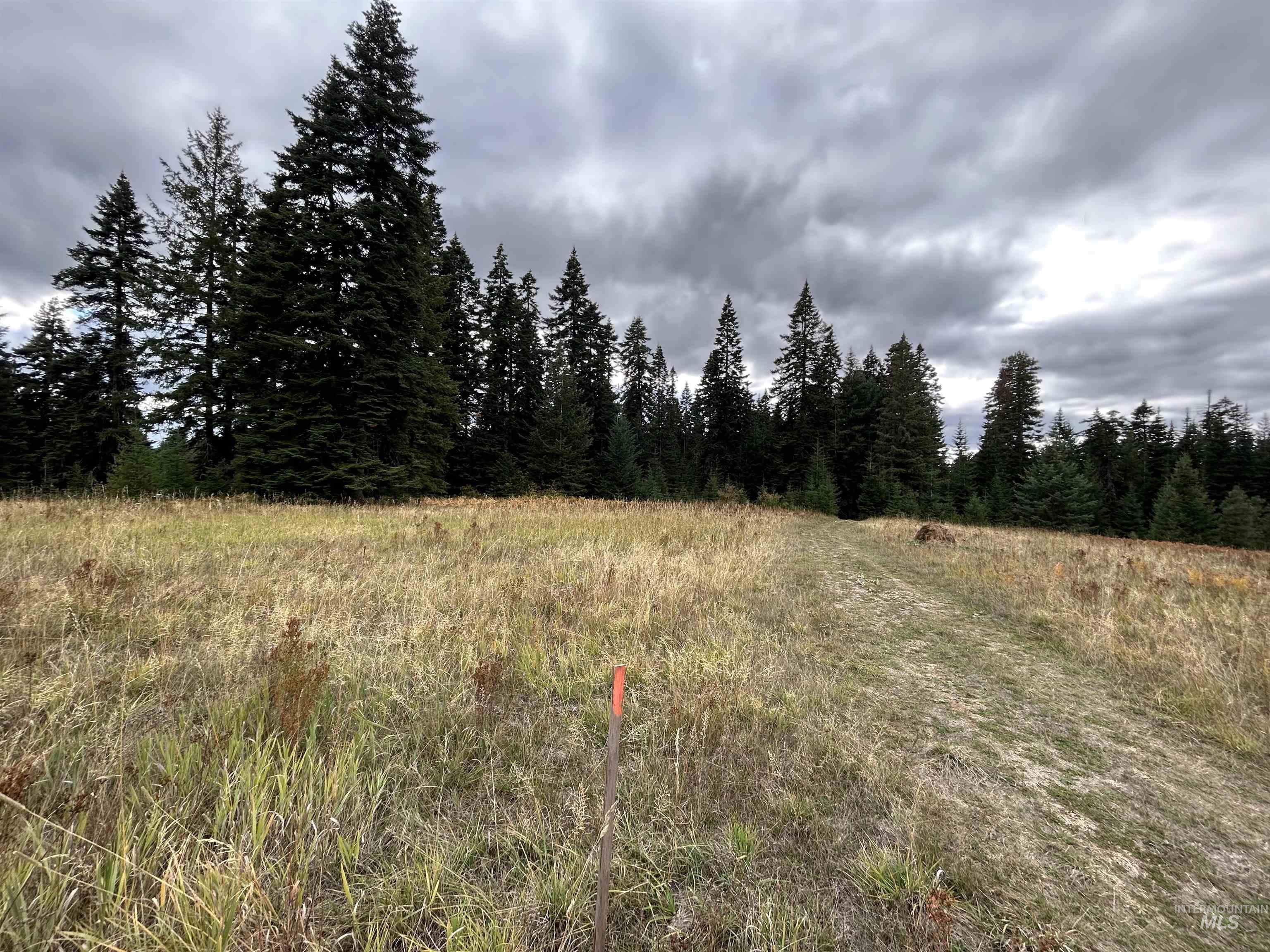 Tbd Lot 3 Tbd Road Kamiah, ID 83536 - Photo 15 of 19