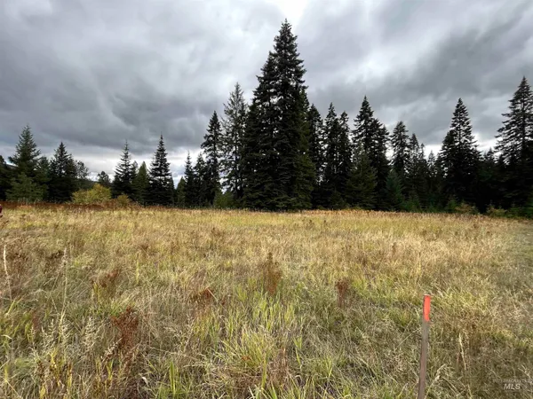 $145,000 | Tbd Lot 3 Tbd Road, Kamiah, ID 83536