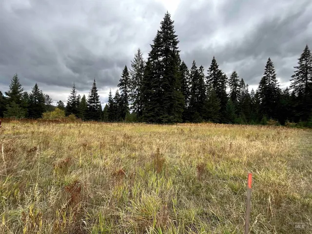 $145,000 | Tbd Lot 3 Tbd Road, Kamiah, ID 83536