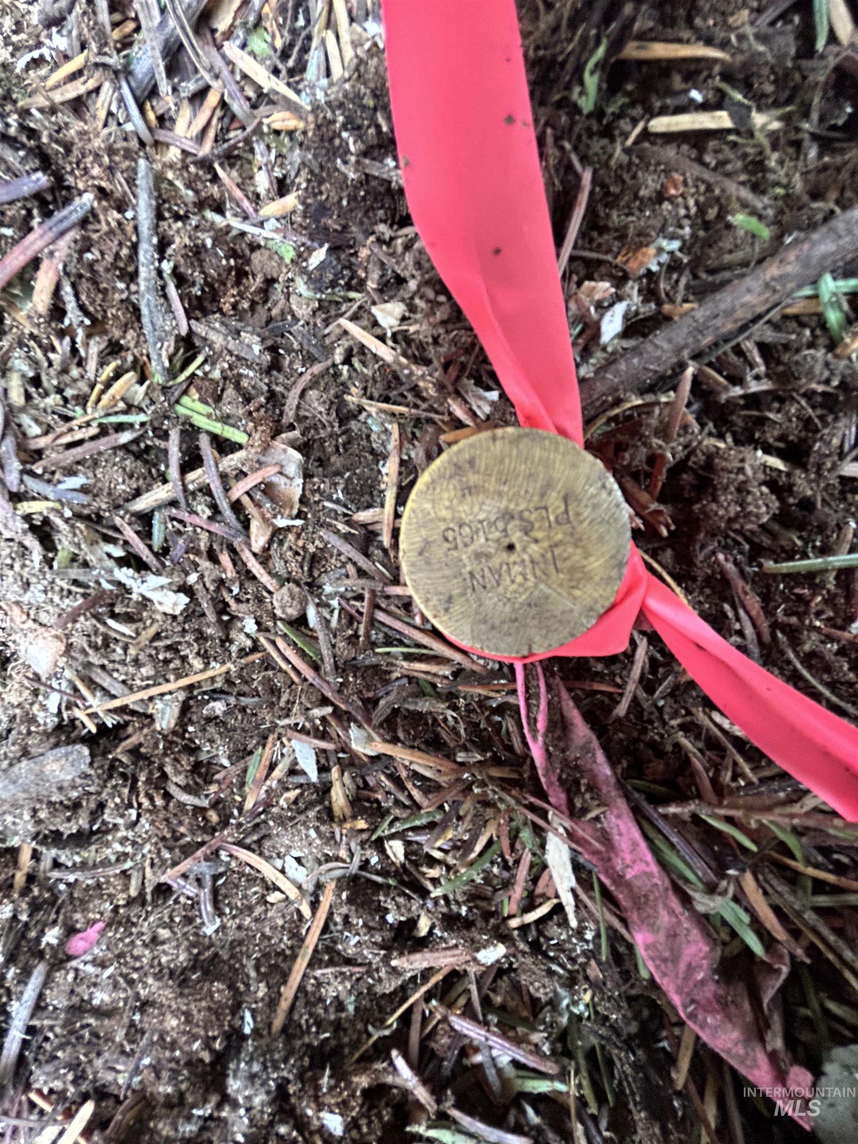 Tbd Lot 3 Tbd Road Kamiah, ID 83536 - Photo 17 of 19