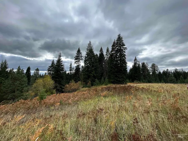 $145,000 | Tbd Lot 3 Tbd Road, Kamiah, ID 83536