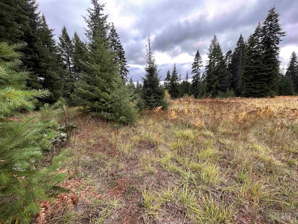 $145,000 | Tbd Lot 3 Tbd Road, Kamiah, ID 83536