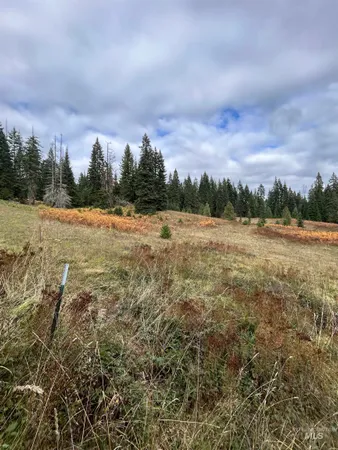 $145,000 | Tbd Lot 3 Tbd Road, Kamiah, ID 83536