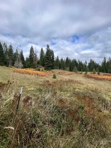 $145,000 | Tbd Lot 3 Tbd Road, Kamiah, ID 83536