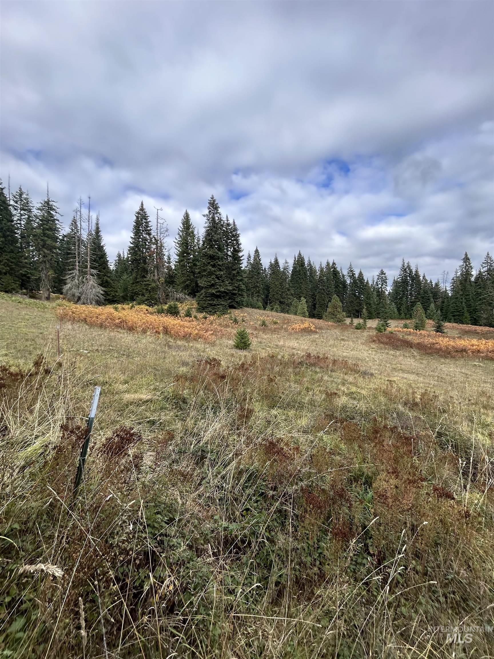 Tbd Lot 3 Tbd Road Kamiah, ID 83536 - Photo 5 of 19