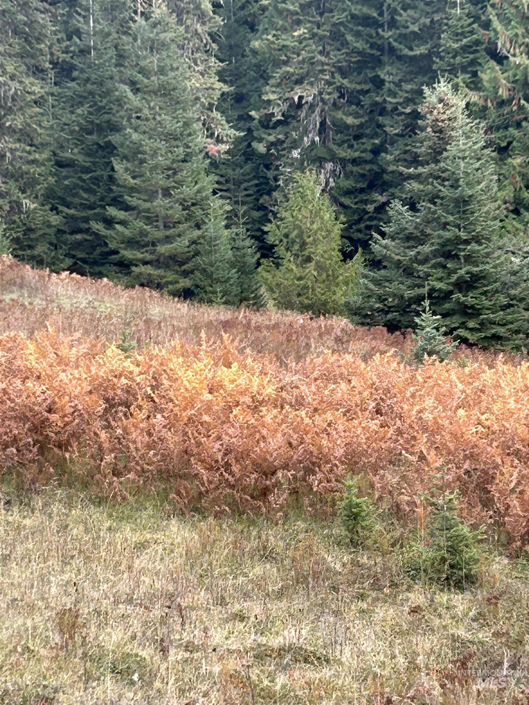 Tbd Lot 3 Tbd Road Kamiah, ID 83536 - Photo 7 of 19