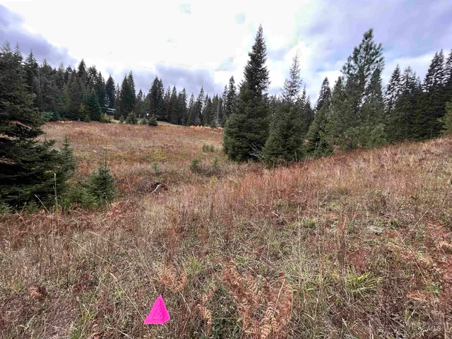 $145,000 | Tbd Lot 3 Tbd Road, Kamiah, ID 83536