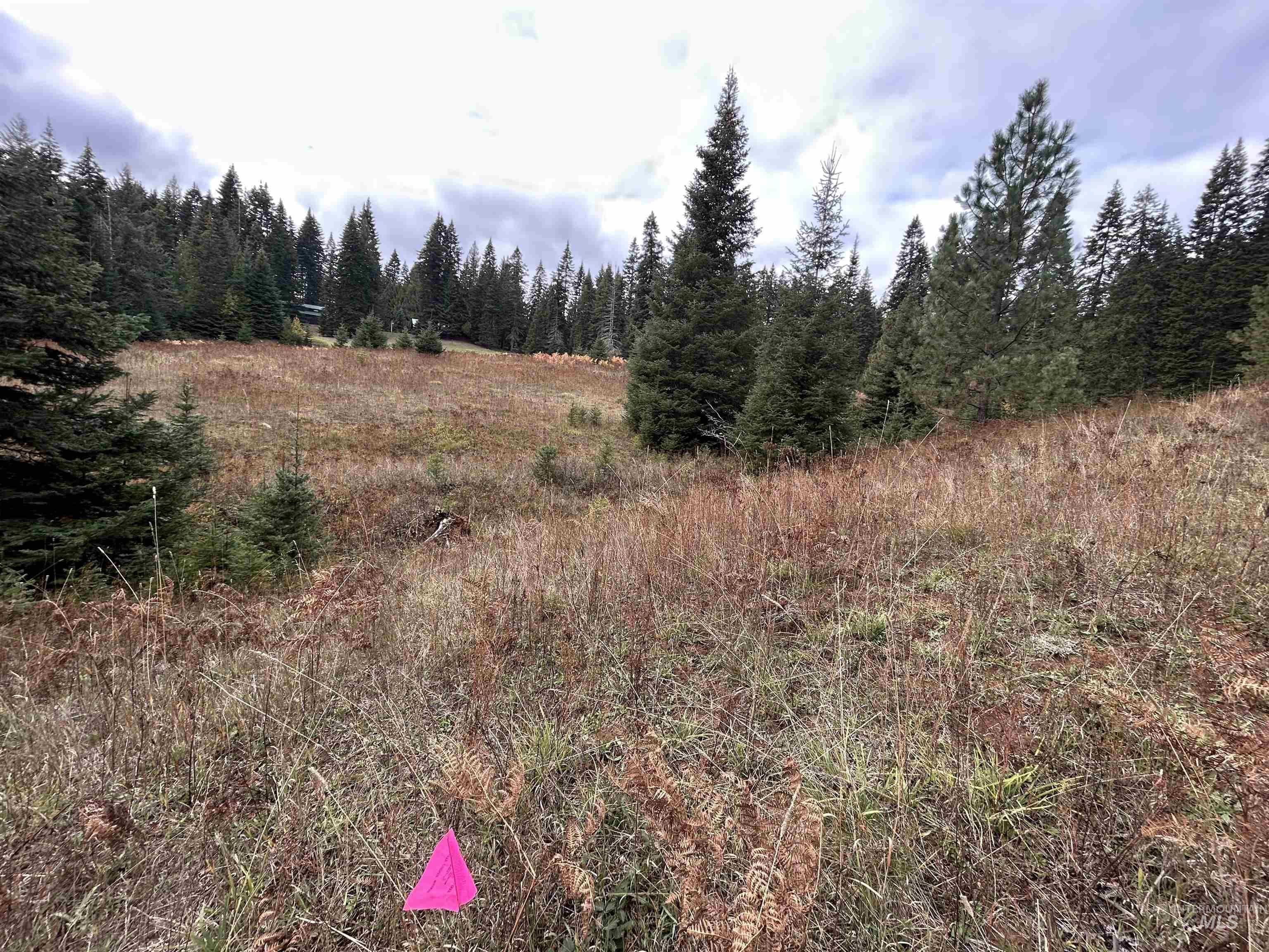Tbd Lot 3 Tbd Road Kamiah, ID 83536 - Photo 8 of 19