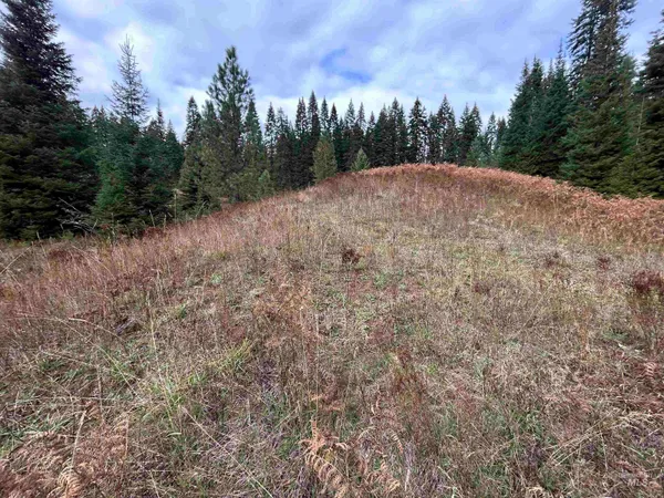 $145,000 | Tbd Lot 3 Tbd Road, Kamiah, ID 83536