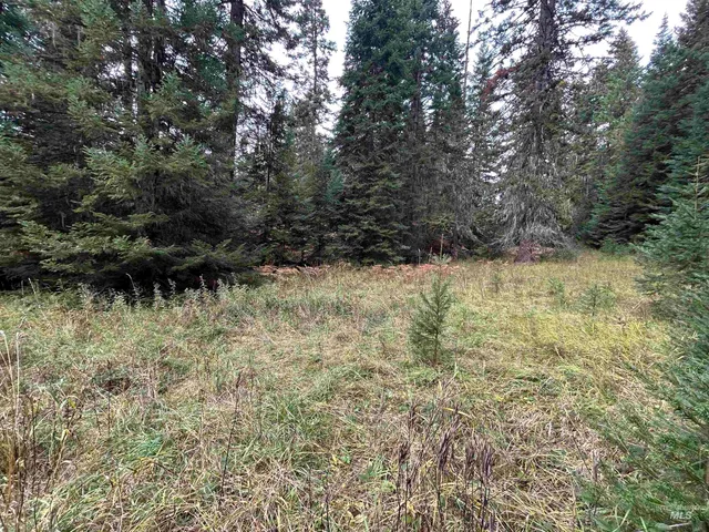 $145,000 | Tbd Lot 3 Tbd Road, Kamiah, ID 83536
