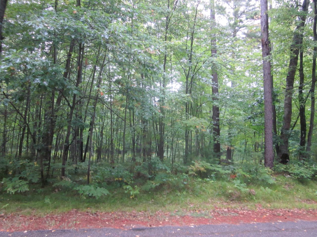On West Buckatabon Road Conover, WI 54519 - Photo 1 of 4 Gallery Image 1