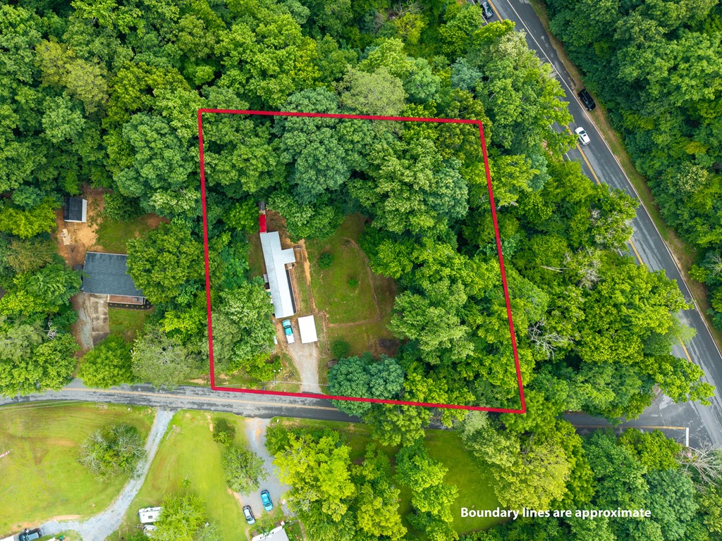 4308 Scott Brown Road Southeast Fairmount, GA 30139 - Photo 29 of 34