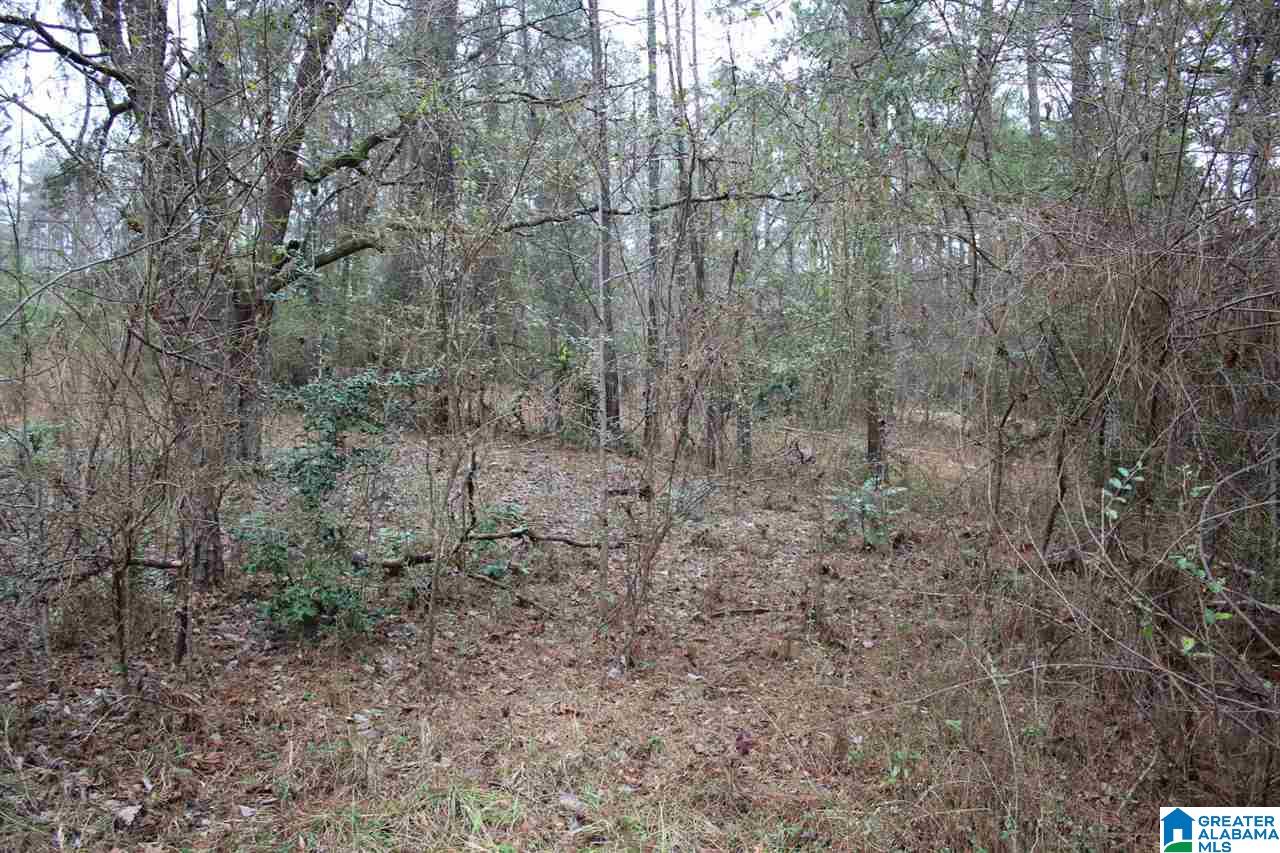 5151 South Shades Crest Road, Unit 1 Helena, AL 35022 - Photo 5 of 6