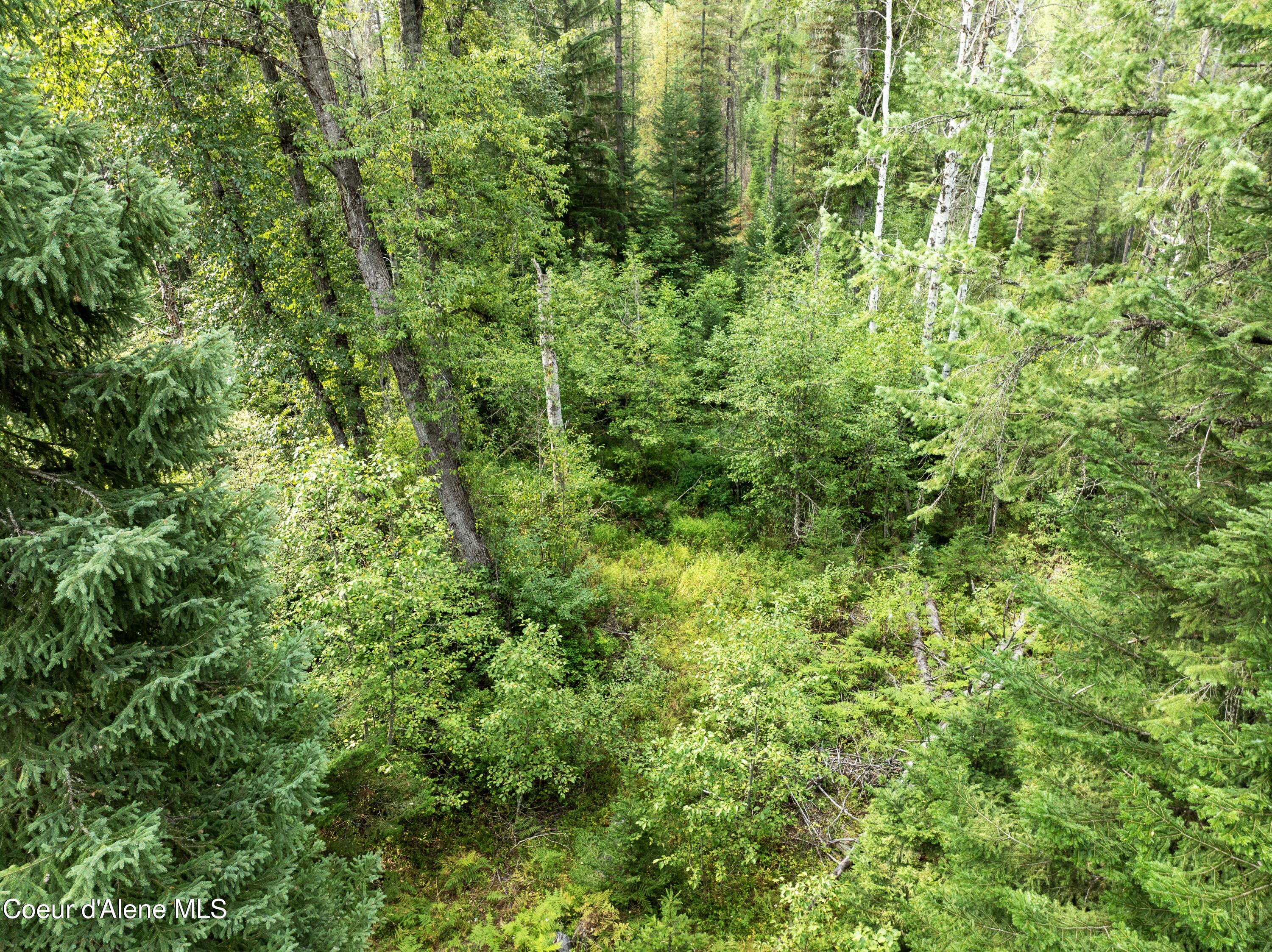 2225 Mud Gulch Road Priest River, ID 83856 - Photo 6 of 13 DJI_0700 copy
