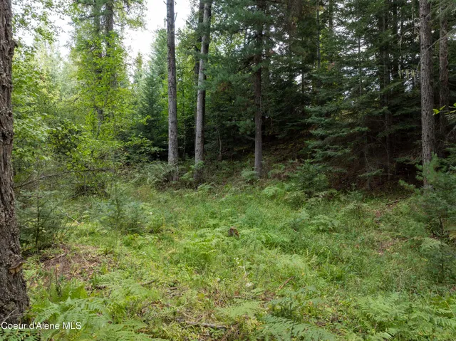 $298,000 | 2225 Mud Gulch Road, Priest River, ID 83856