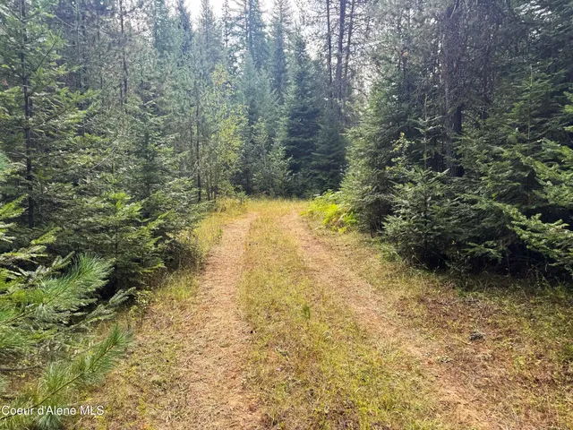 $298,000 | 2225 Mud Gulch Road, Priest River, ID 83856