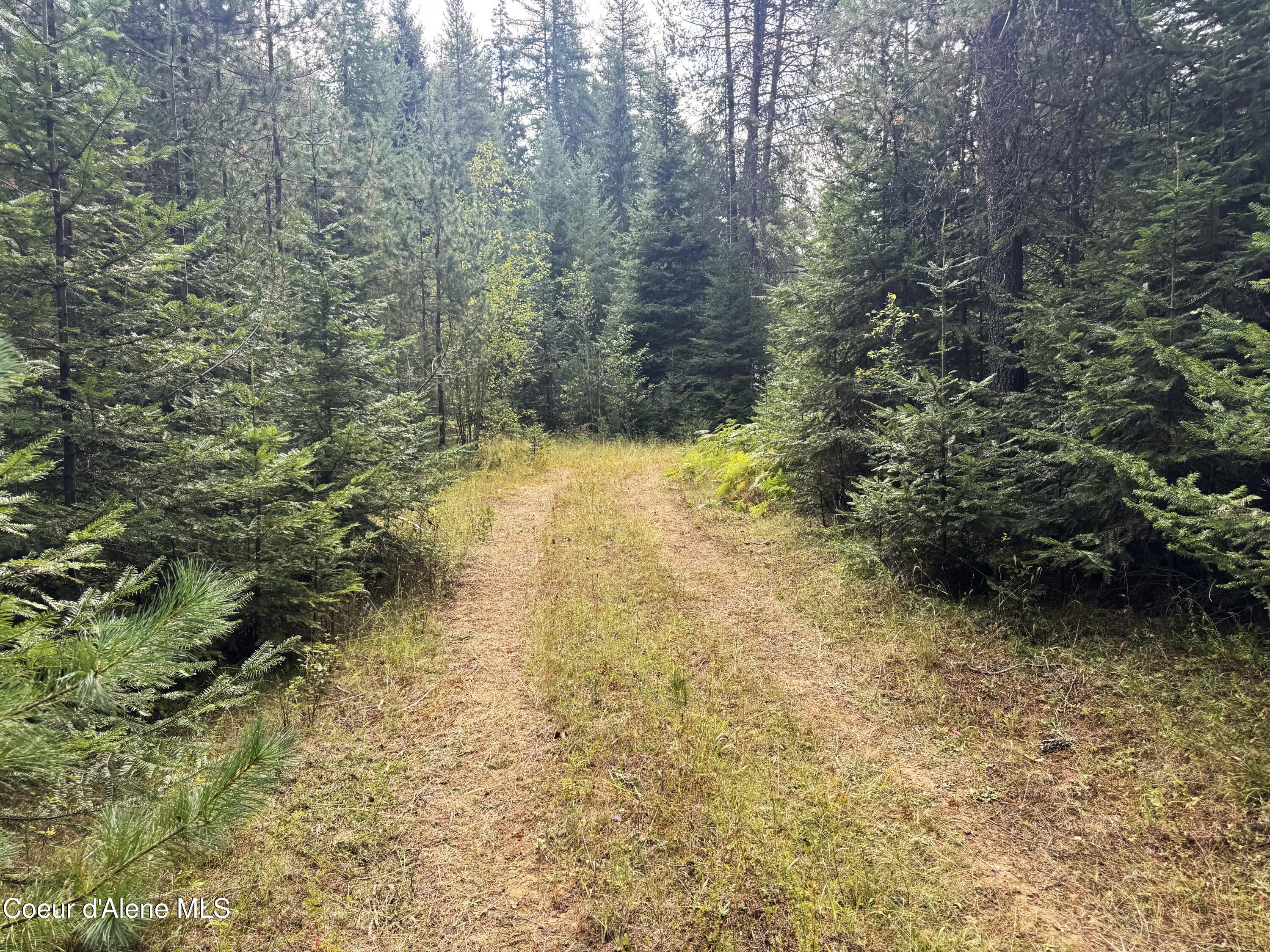 2225 Mud Gulch Road Priest River, ID 83856 - Photo 8 of 13 IMG_0002 copy