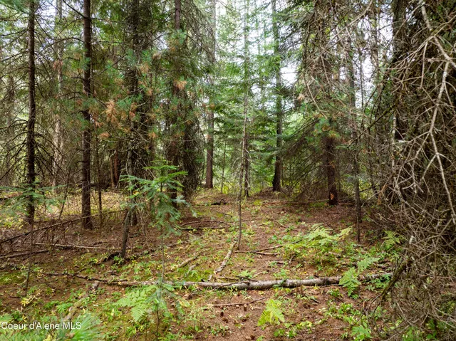 $298,000 | 2225 Mud Gulch Road, Priest River, ID 83856