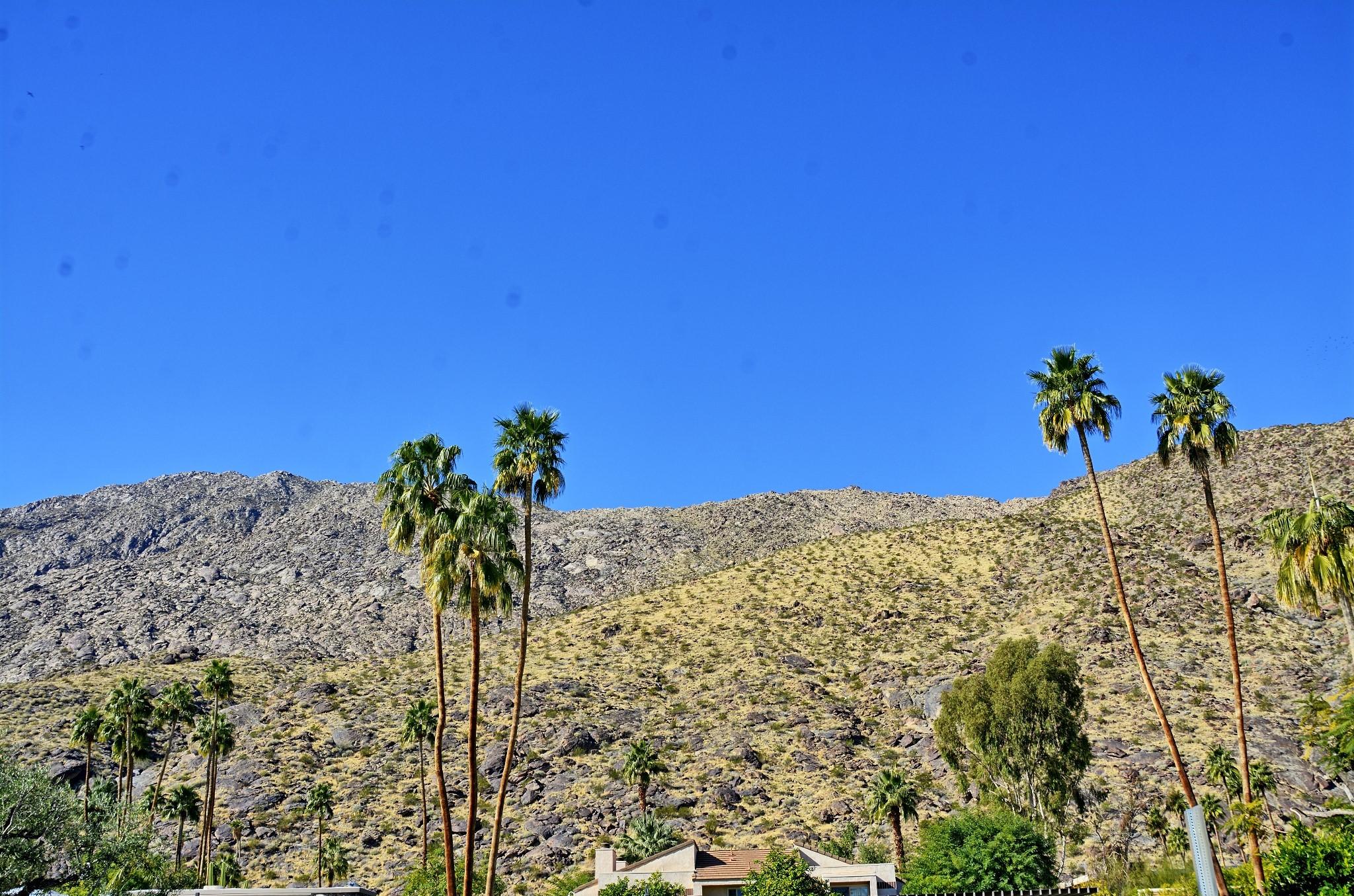 555 West Arenas Road, Unit 5 Palm Springs, CA 92262 - Photo 15 of 15 _DSC3693_4_5_6_7