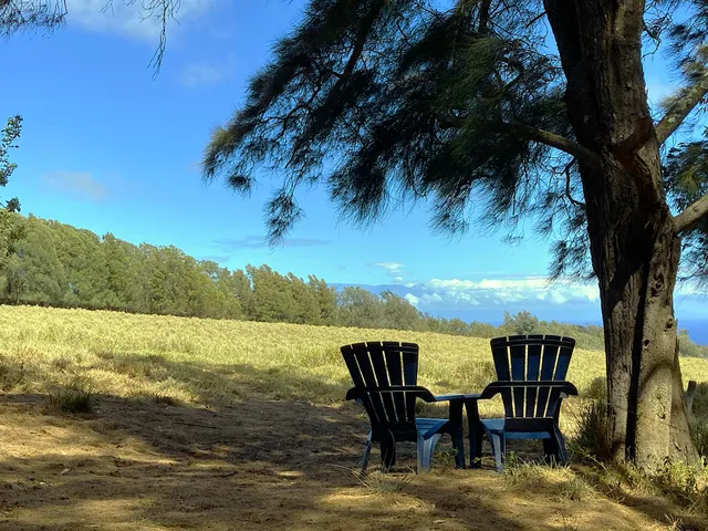 $1,750,000 | 54-640 Lot 2 Hall Road, Kamuela, HI 96743