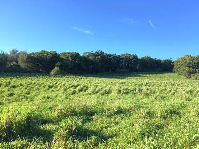 $1,750,000 | 54-640 Lot 2 Hall Road, Kamuela, HI 96743